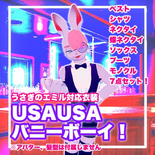 USAUSAバニーボーイ